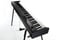 Korg D1 Digital Piano Black, Speakers Not Included